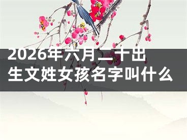 2026年六月二十出生文姓女孩名字叫什么