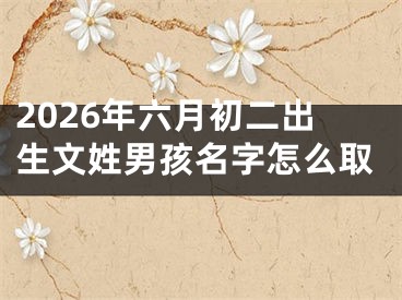 2026年六月初二出生文姓男孩名字怎么取