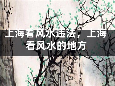 上海看风水违法，上海看风水的地方