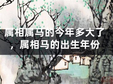 属相属马的今年多大了，属相马的出生年份
