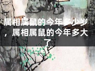 属相属鼠的今年多少岁，属相属鼠的今年多大了