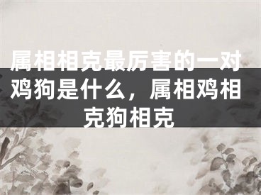 属相相克最厉害的一对鸡狗是什么,属相鸡相克狗相克