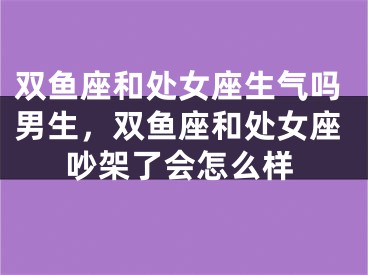 双鱼座和处女座生气吗男生，双鱼座和处女座吵架了会怎么样