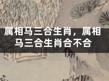 属相马三合生肖，属相马三合生肖合不合