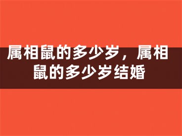 属相鼠的多少岁，属相鼠的多少岁结婚