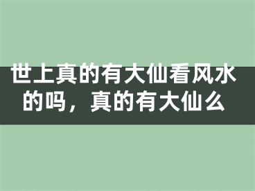 世上真的有大仙看风水的吗，真的有大仙么