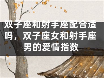 双子座和射手座配合适吗，双子座女和射手座男的爱情指数