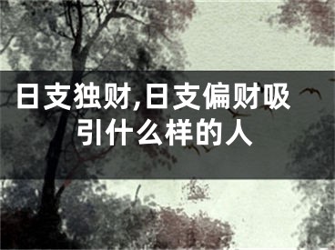 日支独财,日支偏财吸引什么样的人