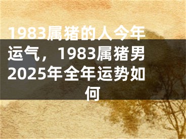 1983属猪的人今年运气，1983属猪男2025年全年运势如何