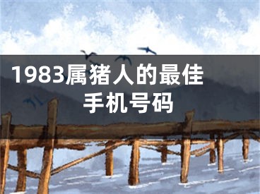 1983属猪人的最佳手机号码