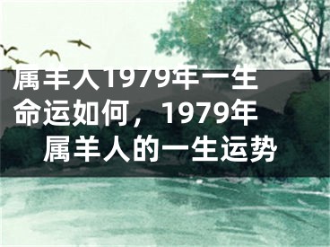 属羊人1979年一生命运如何，1979年属羊人的一生运势