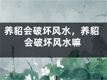 养貂会破坏风水，养貂会破坏风水嘛