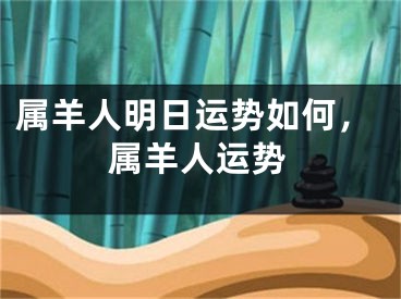 属羊人明日运势如何，属羊人运势