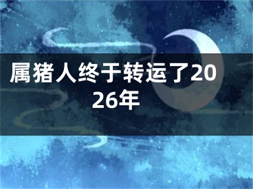 属猪人终于转运了2026年