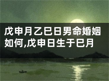 戊申月乙巳日男命婚姻如何,戊申日生于巳月