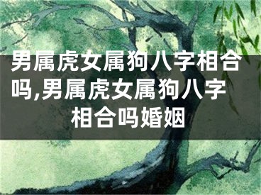 男属虎女属狗八字相合吗,男属虎女属狗八字相合吗婚姻