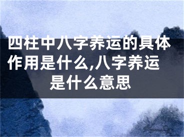 四柱中八字养运的具体作用是什么,八字养运是什么意思