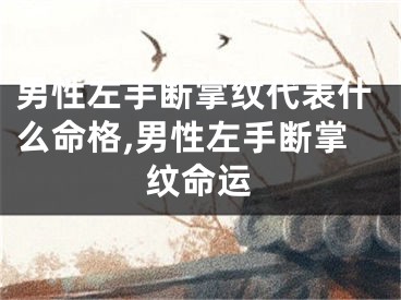 男性左手断掌纹代表什么命格,男性左手断掌纹命运