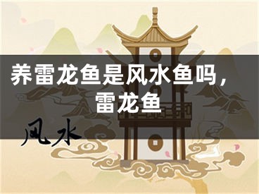 养雷龙鱼是风水鱼吗，雷龙鱼