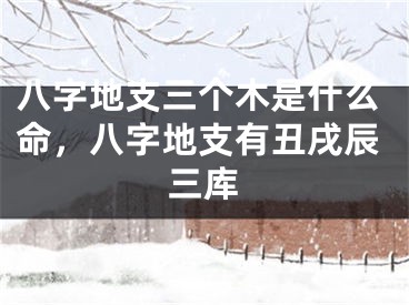八字地支三个木是什么命，八字地支有丑戌辰三库
