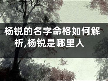 杨锐的名字命格如何解析,杨锐是哪里人