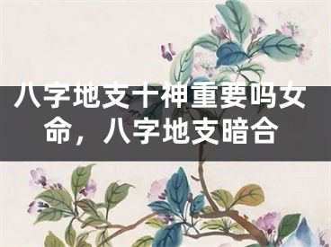 八字地支十神重要吗女命，八字地支暗合