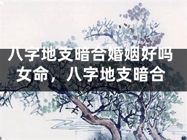 八字地支暗合婚姻好吗女命，八字地支暗合
