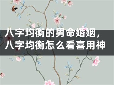 八字均衡的男命婚姻,八字均衡怎么看喜用神