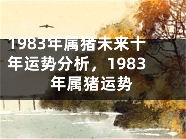 1983年属猪未来十年运势分析，1983年属猪运势