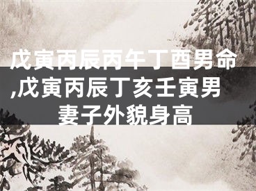 戊寅丙辰丙午丁酉男命,戊寅丙辰丁亥壬寅男妻子外貌身高