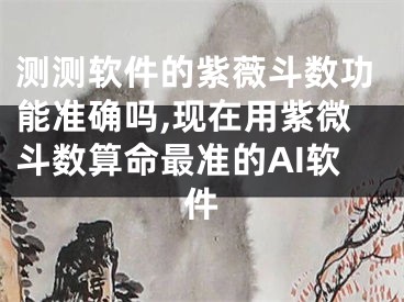 测测软件的紫薇斗数功能准确吗,现在用紫微斗数算命最准的AI软件