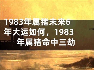 1983年属猪未来6年大运如何，1983年属猪命中三劫