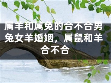 属羊和属兔的合不合男兔女羊婚姻，属鼠和羊合不合