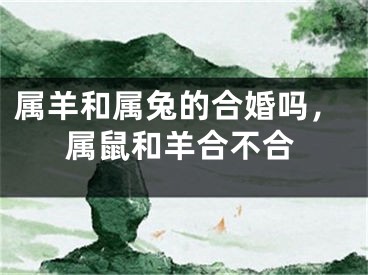属羊和属兔的合婚吗，属鼠和羊合不合
