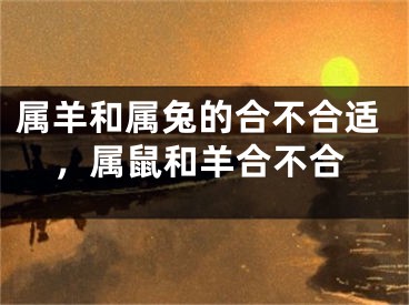 属羊和属兔的合不合适，属鼠和羊合不合
