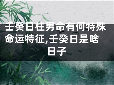 壬癸日柱男命有何特殊命运特征,壬癸日是啥日子