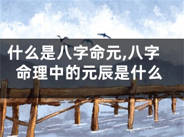 什么是八字命元,八字命理中的元辰是什么