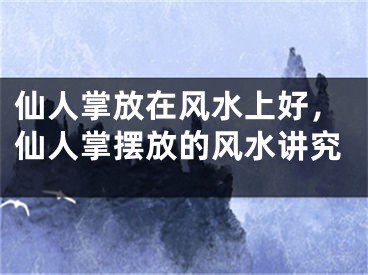 仙人掌放在风水上好，仙人掌摆放的风水讲究