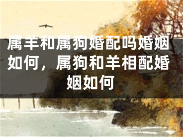 属羊和属狗婚配吗婚姻如何，属狗和羊相配婚姻如何