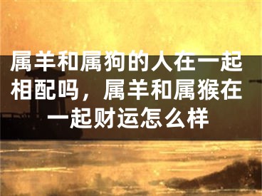 属羊和属狗的人在一起相配吗，属羊和属猴在一起财运怎么样