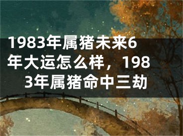 1983年属猪未来6年大运怎么样，1983年属猪命中三劫