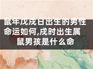 鼠年戊戌日出生的男性命运如何,戌时出生属鼠男孩是什么命
