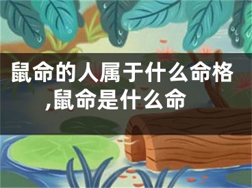 鼠命的人属于什么命格,鼠命是什么命