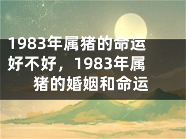 1983年属猪的命运好不好，1983年属猪的婚姻和命运