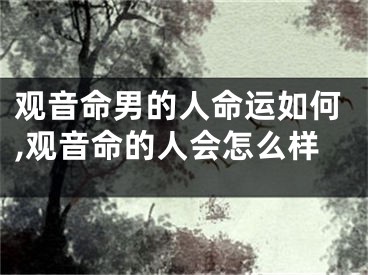 观音命男的人命运如何,观音命的人会怎么样