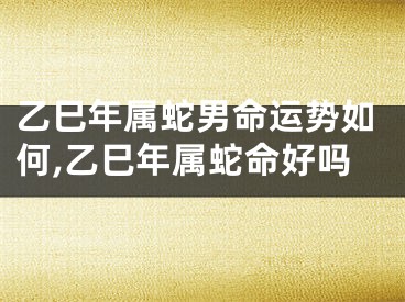 乙巳年属蛇男命运势如何,乙巳年属蛇命好吗
