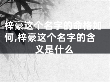 梓豪这个名字的命格如何,梓豪这个名字的含义是什么
