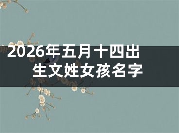 2026年五月十四出生文姓女孩名字