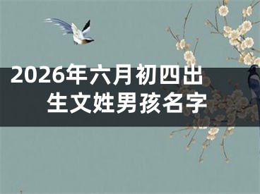 2026年六月初四出生文姓男孩名字