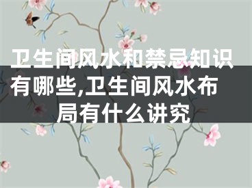 卫生间风水和禁忌知识有哪些,卫生间风水布局有什么讲究